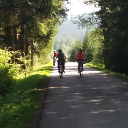 Černá v Pošumaví Apartmán Quarto em Acomodações Particulares Černá v Pošumaví