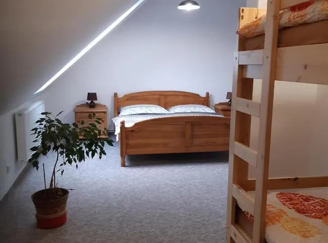ホームステイ Cerna V Posumavi Apartman